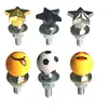 Tornillos para Matrícula, Pernos para Marco de Matrícula de Coche, Juego de Accesorios Decorativos, Adecuado para Motocicletas