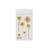 Nuevas Pegatinas de Tatuaje de Flores Impermeables de Rui Ka Long, Pegatinas Faciales, Pegatinas para Brazos, Unisex, Pequeñas Pegatinas de Margarita Más Vendidas
