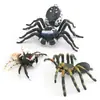 Conjunto de 3 Figuras Realistas de Aranha 3 Modelos de PVC de Aranhas Venenosas e Pavão Brinquedo Educativo para Crianças Brinquedos de Insetos para Decoração de Casa 65125