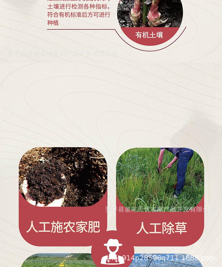红枣姜茶_21.jpg