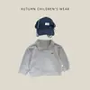 Sudadera con cuello de polo gris estilo coreano para niños, Otoño, Ropa casual holgada de manga larga para bebé niño