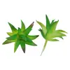 Mini Planta Suculenta Artificial Única Suculenta Falsa Flor Artificial Adorno de Micro Paisaje Oficina Planta Verde Real Artificial Alto