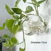 Jarrón de cristal creativo Transparente Sala de estar Colgante de pared simple y moderno Drácena Sanderiana piña verde jarrón pequeño hidropónico