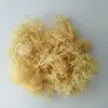 Flor eterna de Yunnan flores secas sin impurezas Musgo inmortal paquete de materiales de rosa inmortal 10G Musgo al por mayor