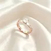 Anillo de Acero de Titanio Zirconia Japonés Coreano Lujo Ligero Personalizado No Descolorante Anillo con Incrustaciones de Diamante para Pareja Diseño de Nicho Europeo Americano para Mujer Venta al por Mayor