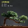 Bonsai de Pinheiro Acolhedor, Novo Estilo Chinês, Hall de Entrada, Mesa de Centro da Sala de Estar, Escritório, Cipreste de Penhasco, Arhat, Enfeite de Árvore de Bordo Vermelho