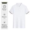Camisa Polo Gelo Seda Roupas de Trabalho Logotipo Personalizado Estampado Verão Empresa Corporativa Equipe Camiseta de Manga Curta Fresca Camisa Cultural