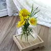 Jarrón de cristal estilo japonés decoración del hogar gato escritorio planta verde jarrón hidropónico adornos creativos de micro paisajismo