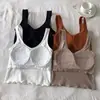 Comercio exterior otoño temprano nueva moda estilo coreano todo partido cuello en U camisola chaleco deportivo prenda exterior con almohadilla en el pecho espalda bonita moda