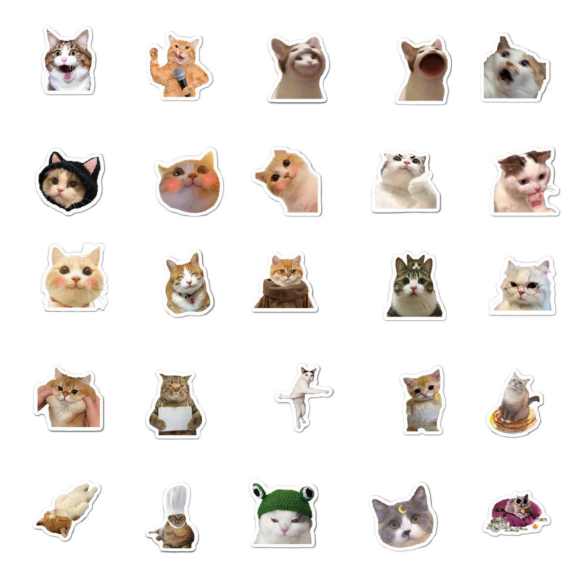 20230904-猫猫表情包贴纸效果图-03修改