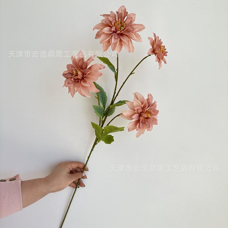 微信图片_202303271336517_副本