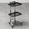 Novo Carrinho de Cabeleireiro, Carrinho de Ferramentas para Salão de Beleza, Carrinho de Cabeleireiro Multifuncional, Carrinho para Permanente e Coloração de Barbearia, Carrinho de Armazenamento