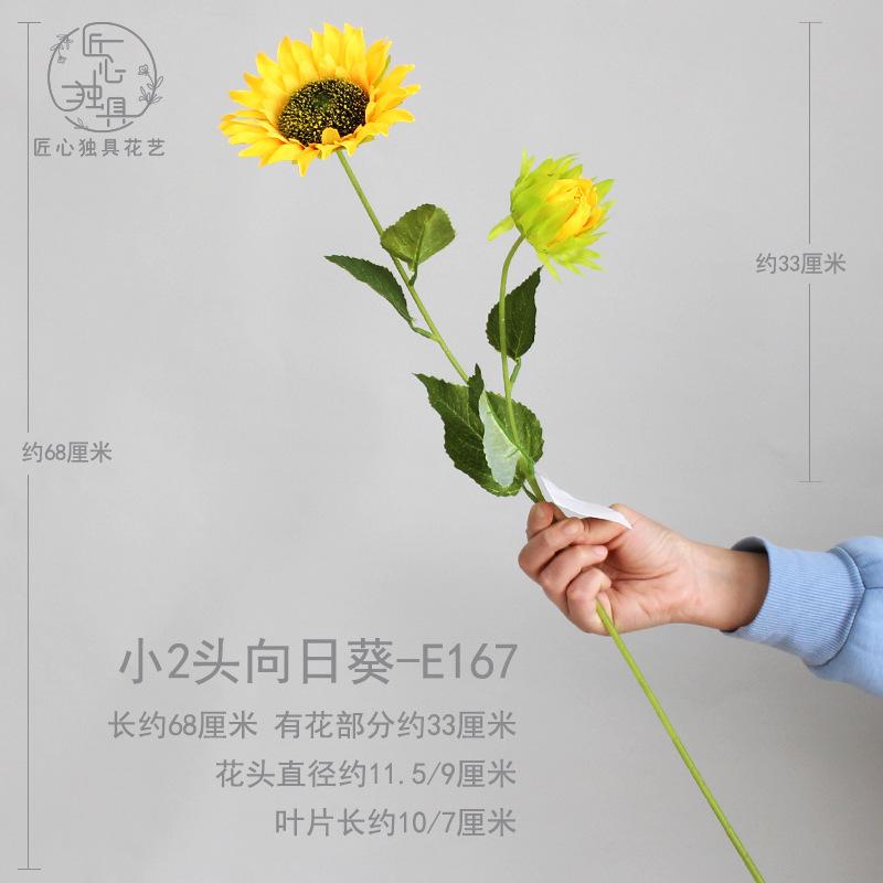 小2头向日葵 E167