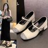 Zapatos Mary Jane para Mujer con Tacón Bajo, Estilo Francés Moderno de Boca Baja, Piel Suave, Zapatos Plateados Versátiles y Modernos