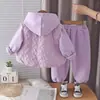 Nuevo atuendo de invierno para niñas: conjunto de tres piezas moderno y cálido con un chaleco acolchado, perfecto para otoño e invierno