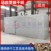 Equipamento de Secagem de Beldroega, Câmara de Secagem de Biomassa de Beldroega Cozida, Máquina de Secagem de Beldroega