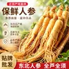 Ginseng Fresco, uma especialidade do Nordeste da China, Ginseng de Baishan em Jilin, pode ser usado para fazer licor ou sopa infundidos com ginseng fresco, e pode ser combinado com chifre de veado e sangue de veado para fazer licor