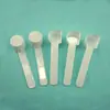 Cuchara de Café Icafilas, Cuchara de 5ml para Leche en Polvo y Alimentos, Cuchara de Plástico para Café en Polvo, Cuchara Accesorio para Filtro de Cápsulas