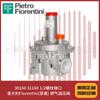 30160 31160 Interfaz de rosca 1/2 Italia Fiorentini (FIO) válvula reductora de presión de gas