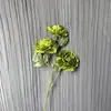 Peônia Artificial de 3 Cabeças Estilo Europeu Peônia de Borda Queimada Flor Artificial Rosa Seca Imitação Flor Seca Flor Decorativa para Sala de Estar
