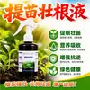 Líquido Estimulante de Raíces Fuertes para el Cultivo de Plántulas Brotes de Raíces Nuevas para Cultivos Abonado Foliar Riego de Raíces Acción Rápida Plántulas Fuertes Prevención del Crecimiento Retardado Elementos Medios Producto