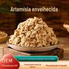 Cama Especial de Moxabustão Lã de Moxa 500g, Várias Proporções, Lã Pura de Grama de Moxa a Granel, Lã de Moxa Dourada Premium, Atacado de Peça Única, Lã de Moxa Caviar