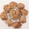 Fruta seca natural con agujeros, cáscaras de fruto de jacaranda, accesorios para campanillas de viento, decoración de manualidades de cáscara de fruta hechas a mano para DIY