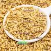 Avena, hierbas medicinales chinas, avena germinada, avena descascarillada, avena cruda, granos enteros