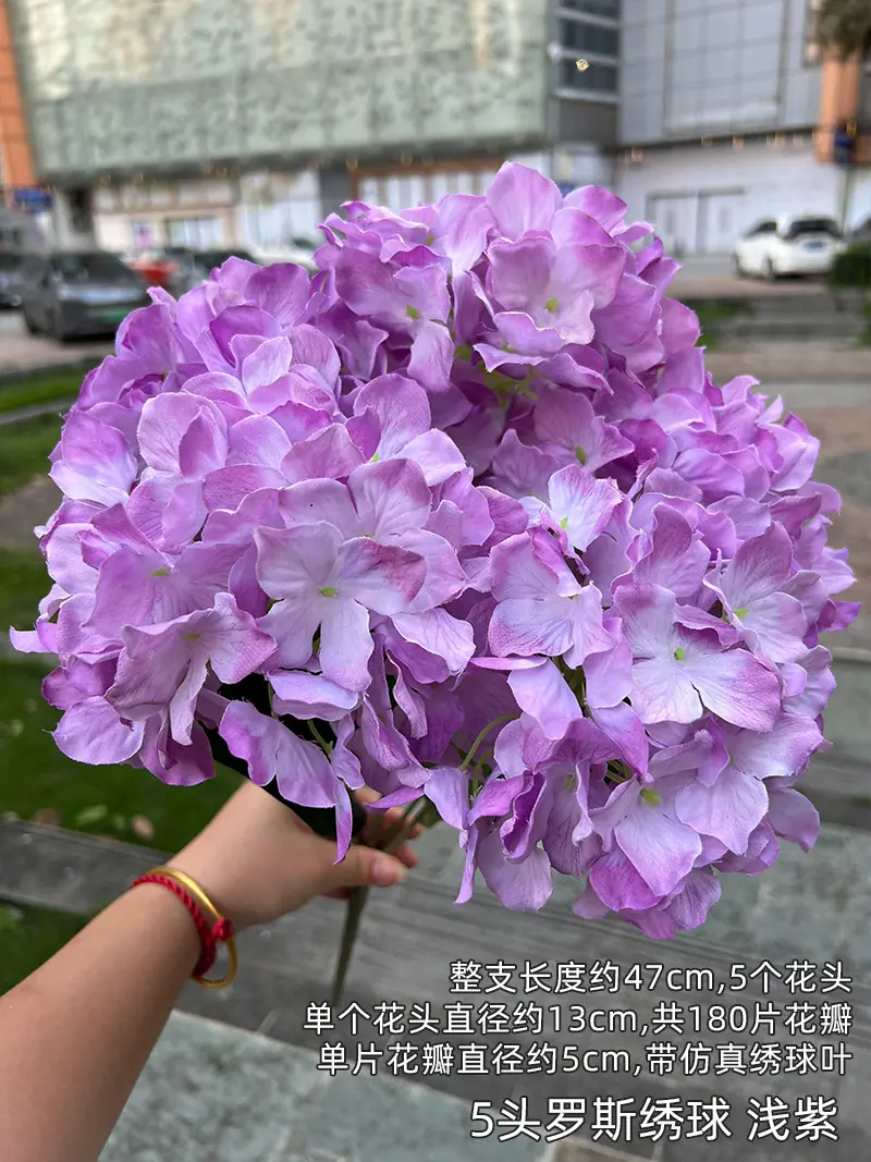 5头罗斯绣球 浅紫.jpg