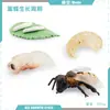 Simulación Transfronteriza Modelo de Araña Real Unicornio Insecto Juguetes para Niños Mariposa Abeja Adornos de Animales