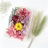 Materiales DIY de Flor Eterna, Flores Secas, Accesorios para Velas Personalizados Hechos a Mano, Flores Frescas, Regalos de San Valentín, Decoraciones para el Festival Qixi, Venta al por Mayor