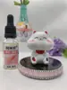 Nuevo Gato de la Suerte Mini Cabeza Grande Solar para Coche Aceite Esencial Aromaterapia Muñeca de Decoración Interior Linda Decoración Creativa