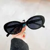 Nuevas Gafas de Sol con Montura de Estampado de Leopardo para Mujer, Gafas de Sol Ojo de Gato de Sensación de Alta Gama, Gafas de Sol Populares en Internet Europeas y Americanas, Gafas de Sol Retro