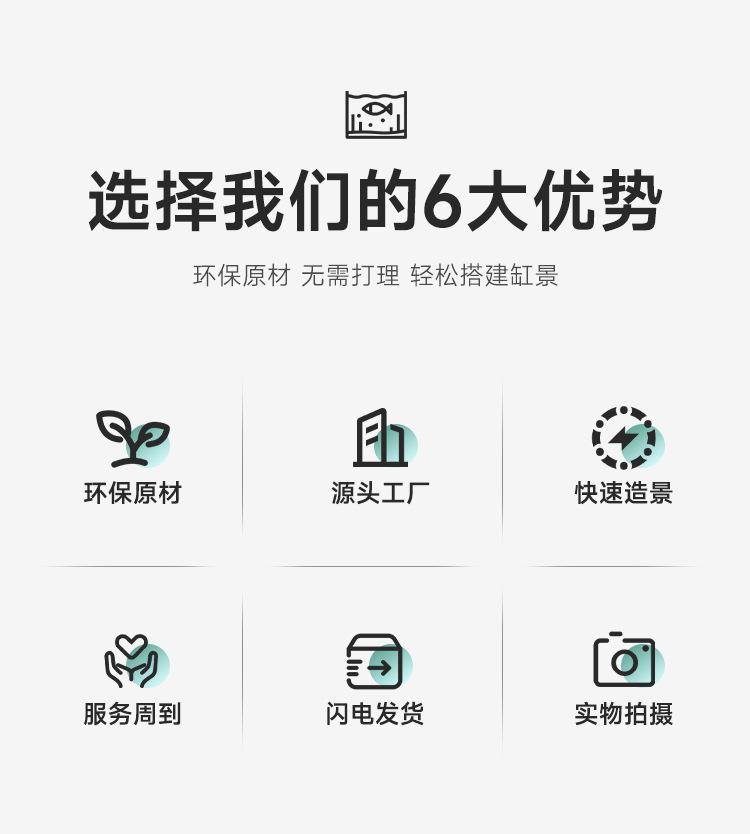 详情_02.jpg