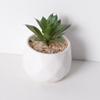 Uau, simulação personalizada de planta suculenta, planta verde, cacto, decoração para escritório interno, combinação de bonsai em vaso, atacado