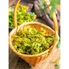Coliflor Seca 500g, Coliflor Seca, Repollo Seco, Verduras Secas para Olla Caliente, Productos de Granja Local, Verduras Secas, Verduras Deshidratadas