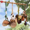 Colgante de Cadena para Llavero Carrillón de Viento Tejido a Mano con Cáscara de Fruta Natural Accesorio Pequeño Colgante para Bolso Hecho a Mano