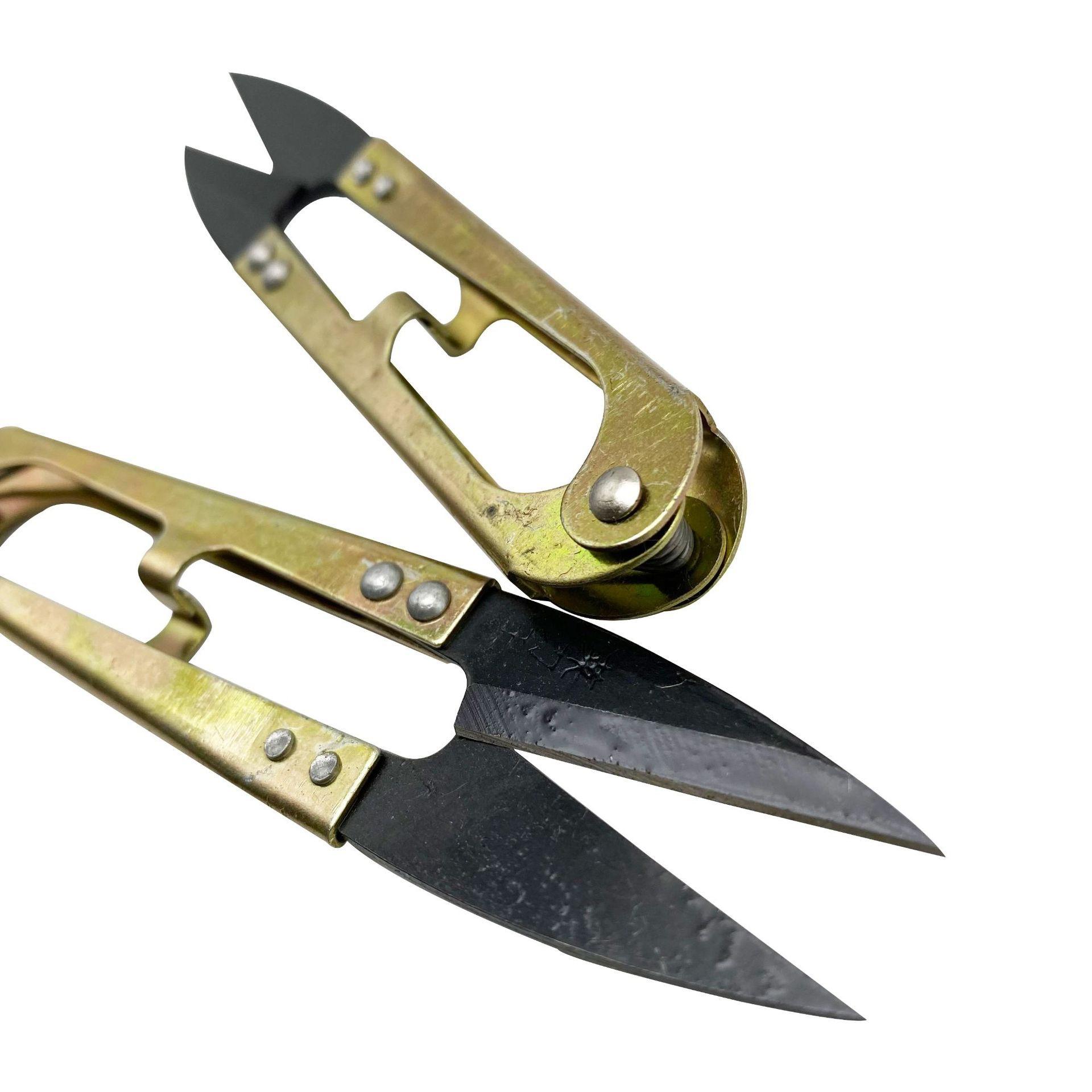 IMG_5629(20220627-082713)