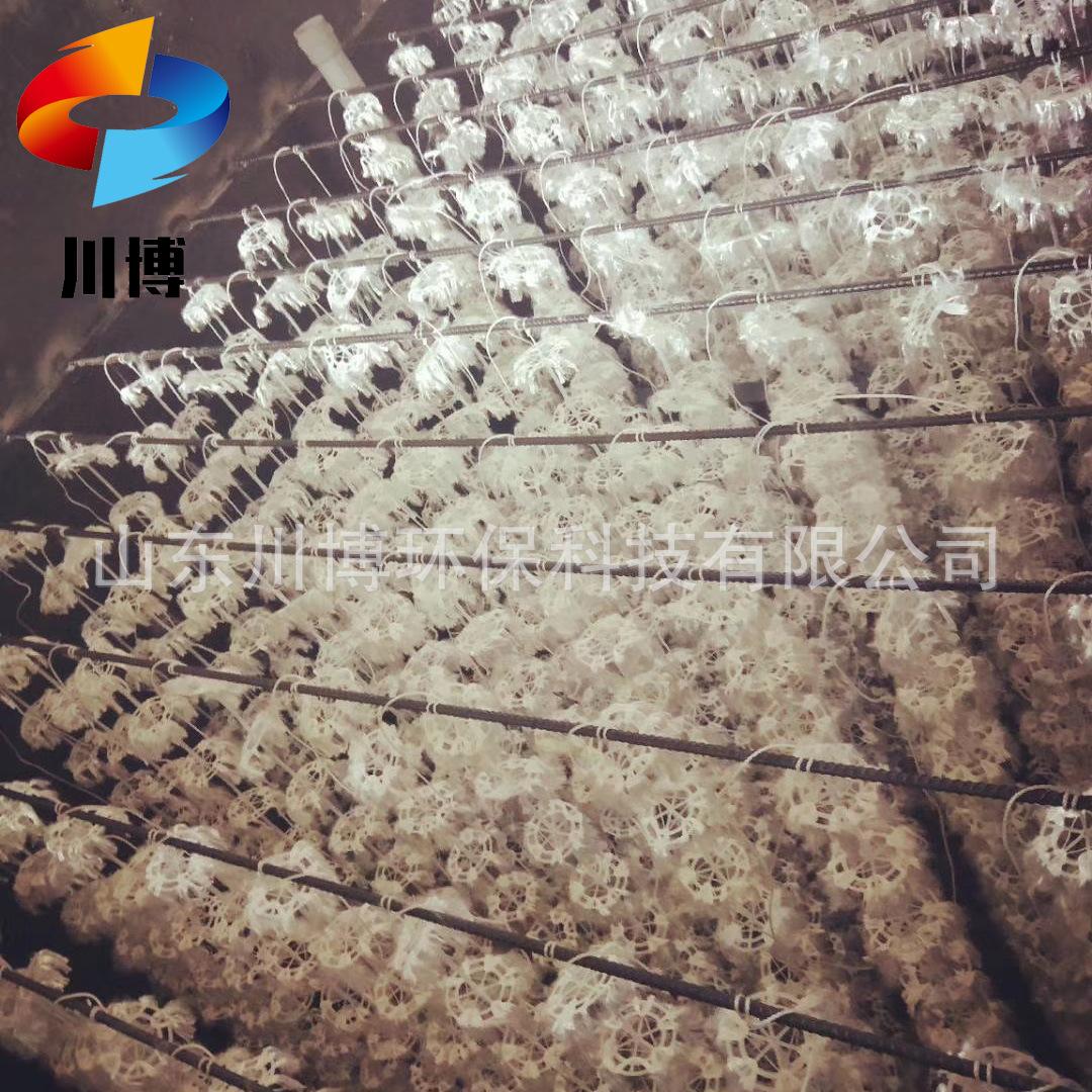 微信图片_20190124203953 拷贝