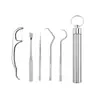 Conjunto de Palitos de Dente de Aço Inoxidável Tubo de Armazenamento Portátil Cuidado Palito de Metal Ferramenta de Limpeza Bucal