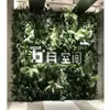 Pared Vegetal de Simulación Pared de Plantas Verdes Pared de Flores Pared de Fondo de Plantas Verdes Decoración de Cabecera de Puerta Flores Artificiales Césped de Plástico Decoración de Pared Paquete
