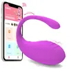 App de Novo Produto Transfronteiriço Ovo Vibratório Simulado de Girino e Baleia Pequena Vibrador para Mulheres Masturbador do Ponto G Produtos Sexuais para Adultos Atacado