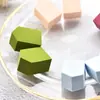 Esponja de Maquillaje Plana de Cinco Puntas Personalizada con Forma de Casita Pequeña Que se Expande al Exponerse al Agua, Es Hidrofílica, Suave, Delicada, No Absorbe el Maquillaje y Puede Usarse Tanto Seca como Húmeda