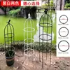 Soporte para Flores Soporte para Enredaderas Trepadoras Soporte para Flores de Clematis y Rosa Maceta Soporte para Plantas Trepadoras Barra de Soporte para Tortuga de Montaña de Interior