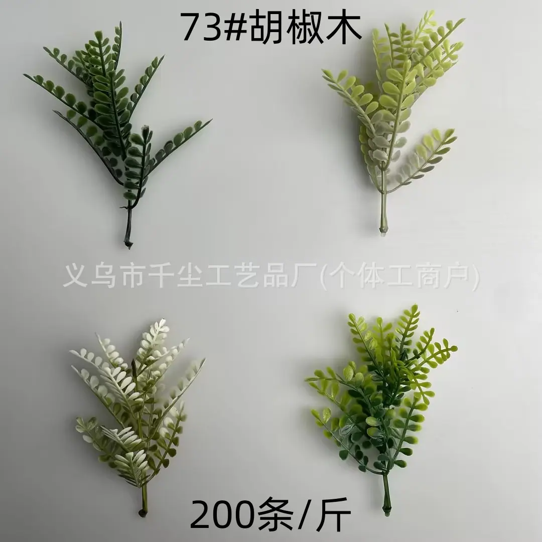 73#胡椒木.jpg