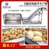 Máquina de limpieza de rodillos para el cabello, línea de producción de pelado y elevación, máquina peladora automática de papas, máquina de cepillado de cabello de taro y batata