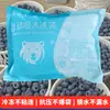 Bolsa de Gelo Descartável para Entrega Expressa, Comercial de Loja de Sobremesas, Bolsa de Gelo para Conservação de Frutos do Mar e Frutas Frescas, Bolsa de Gelo Autoabsorvente
