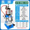 Rebitadeira Pneumática Máquina de Crimpar Porca de Plástico Máquina de Prensagem Automática com Placa de Pressão Prensa Térmica Pneumática