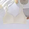 Roupa Íntima Personalizada para Meninas nas Fases de Desenvolvimento Secundária e Terciária, Cor Sólida, Sem Aro, Sutiã Push-Up para Alunas do Ensino Fundamental II e Médio, Produto Novo