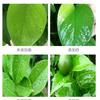 Aceite esencial de cáscara verde, aceite vegetal de cáscara verde, aceite de naranja de cáscara verde agrícola, agente auxiliar, penetrante húmedo, agente antimoscas, agente auxiliar de sedimentación.